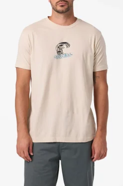 Team Spike Standard Fit Tee - Lt Khaki | O'Neill